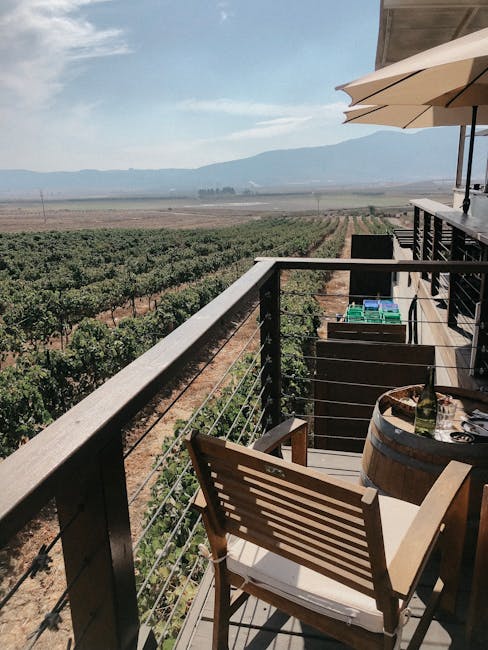 pexels photo 9280869 9280869 Enjoy a tranquil view of vineyards from a cozy balcony in Israel.